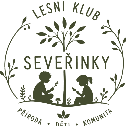 lkseverinky.cz
